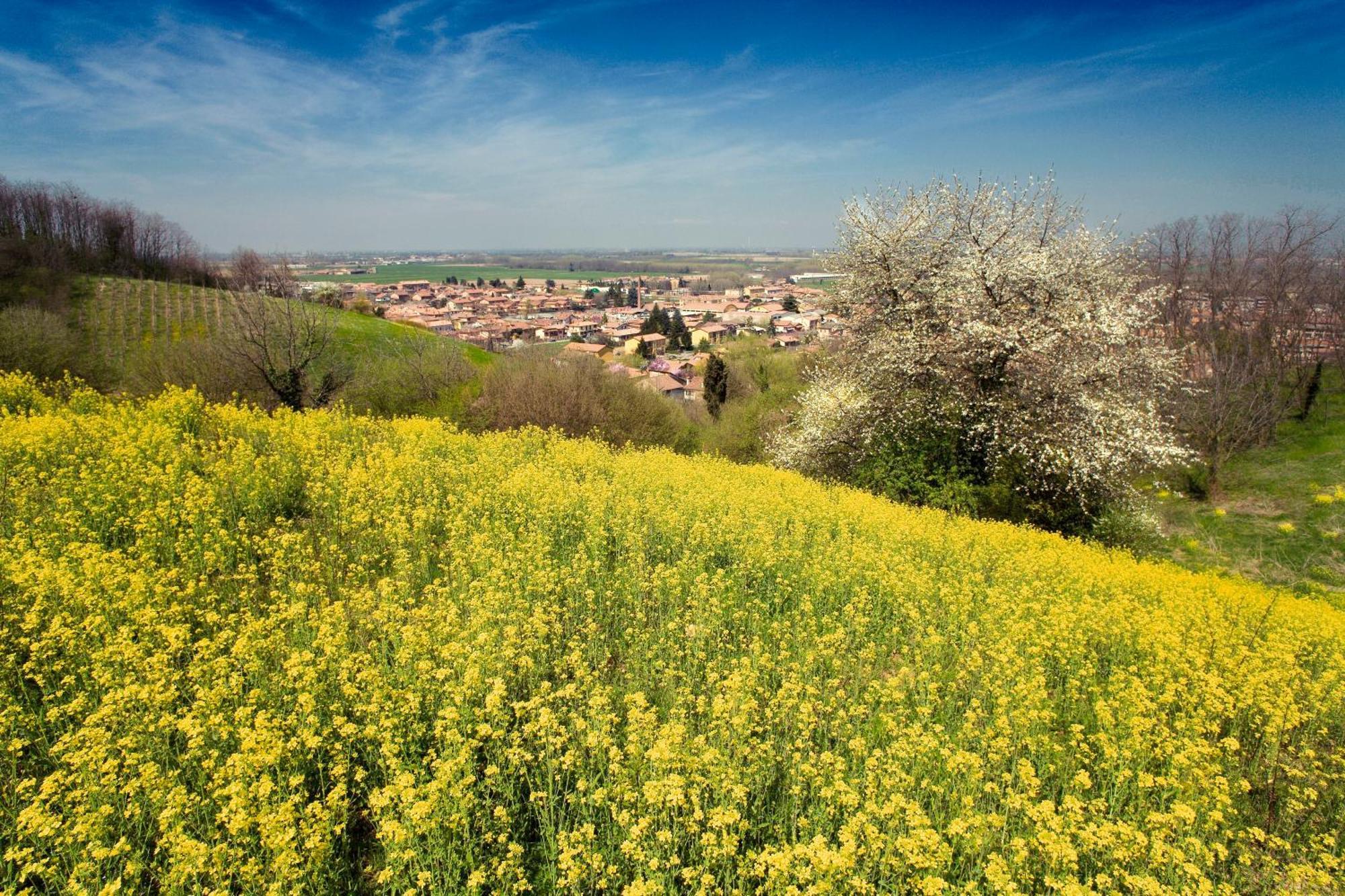 Bed&Breakfast Sforza 19 San Colombano al Lambro Exterior foto