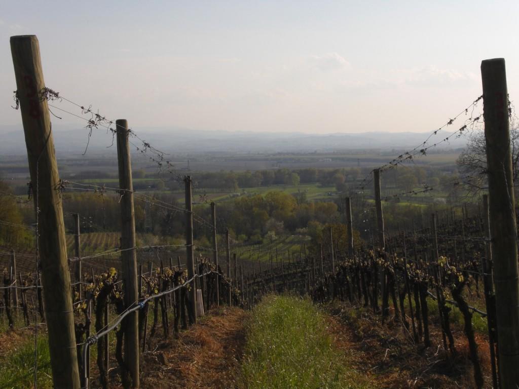 Bed&Breakfast Sforza 19 San Colombano al Lambro Exterior foto